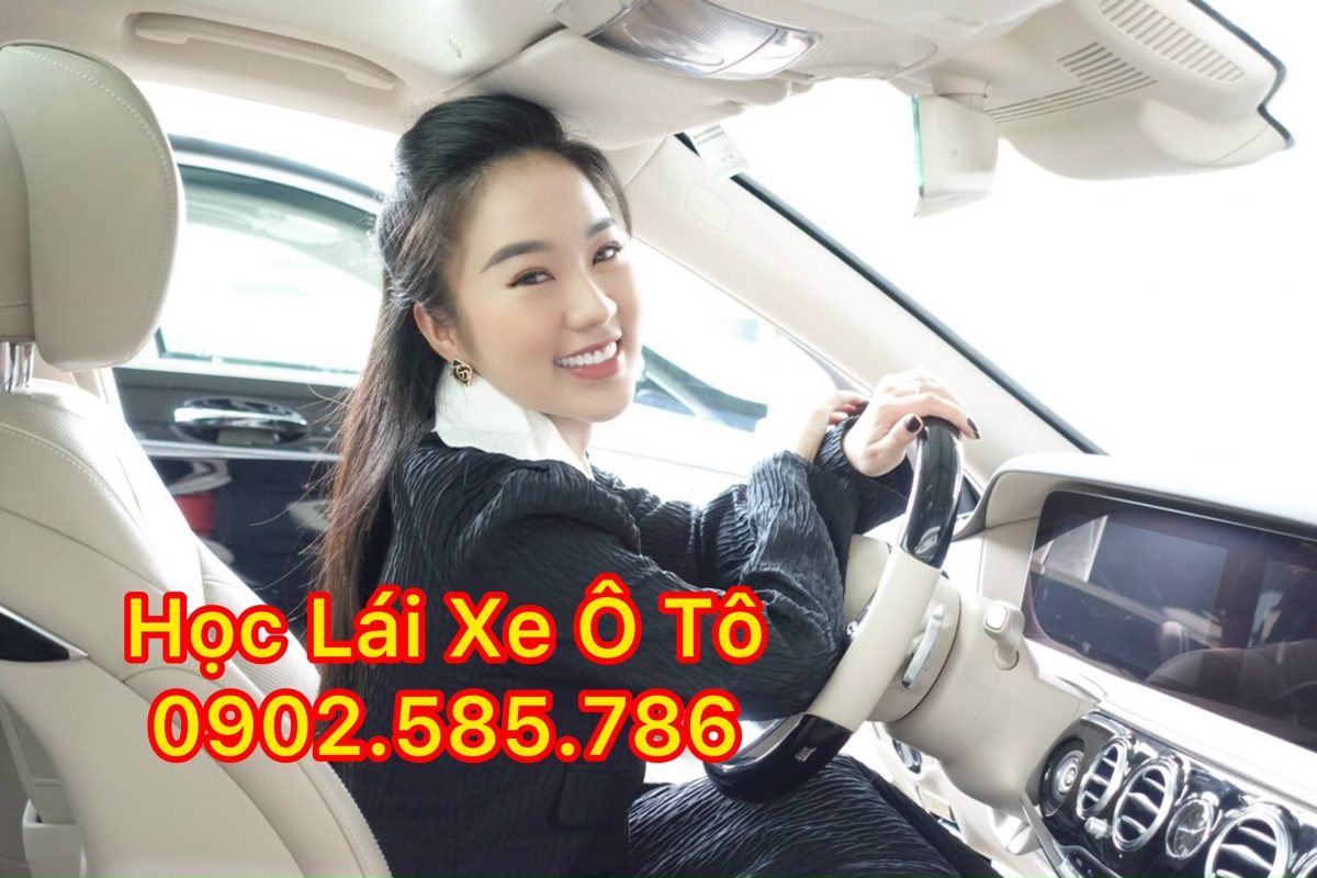 Học Lái Xe Ô Tô Hạng B Quận 8 – Dạy Lái Xe Ô Tô Hạng B Quận 8 94 0902585786 0902685818 co tuyet thay hung 1
